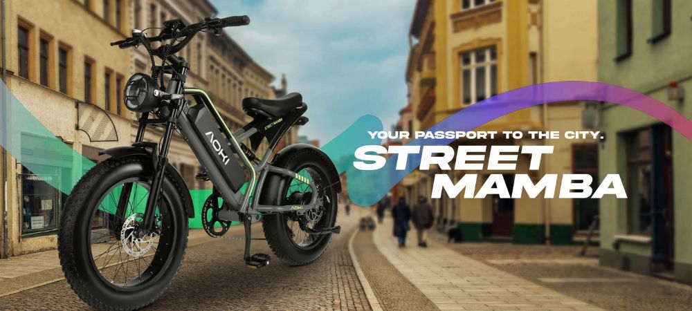 Electric Bikes