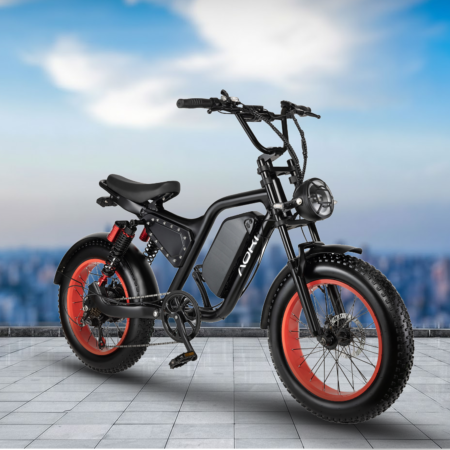 Street Ghost – Best fat tyre Electric Cycle in India | Aoki